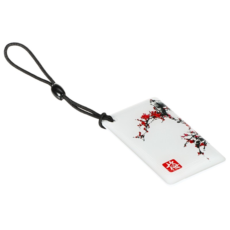 Breloc RFID Unique 125kHz EM4100 cu desen ATLO K4PID